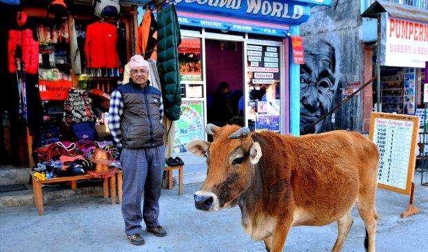 大旅游禁忌千万要留意后果很严重头号玩家龙八国际网址9个地方9(图5)